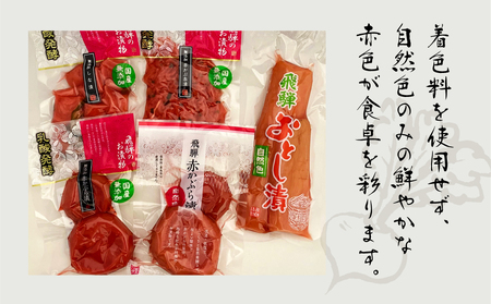 飛騨のお漬物 5種類セット【15-2】