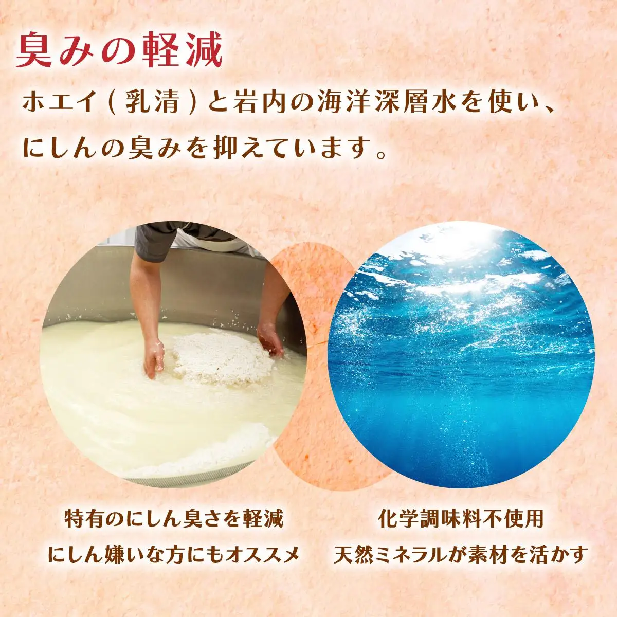 にしんのオイル漬け≪にしんすぱ≫2人前×6袋 F21H-438