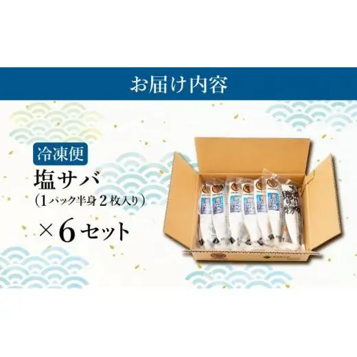 塩サバ×6セット  F21H-446