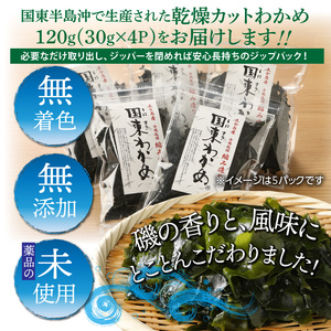＼テレビで紹介されました！／ 【選べる容量】冷風乾燥が旨さの決め手！国東わかめ「乾燥カットわかめ」_0080N