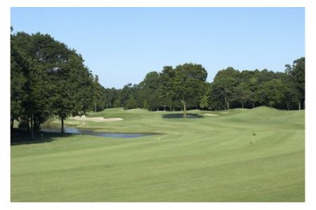 猿島カントリー倶楽部利用券90000円 ／ ゴルフ golf GOLF ごるふ ゴルフ場 チケット ちけっと 体験 プレー券 利用券 ゴルフ場利用券 チャンピオンコース アメリカンスタイル アクセス抜群 好立地 茨城県 No.170