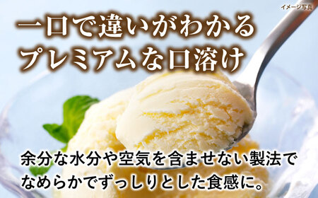 プレミアムアイスクリーム（10個入り） 【cafe du glace】 [ATCL004]