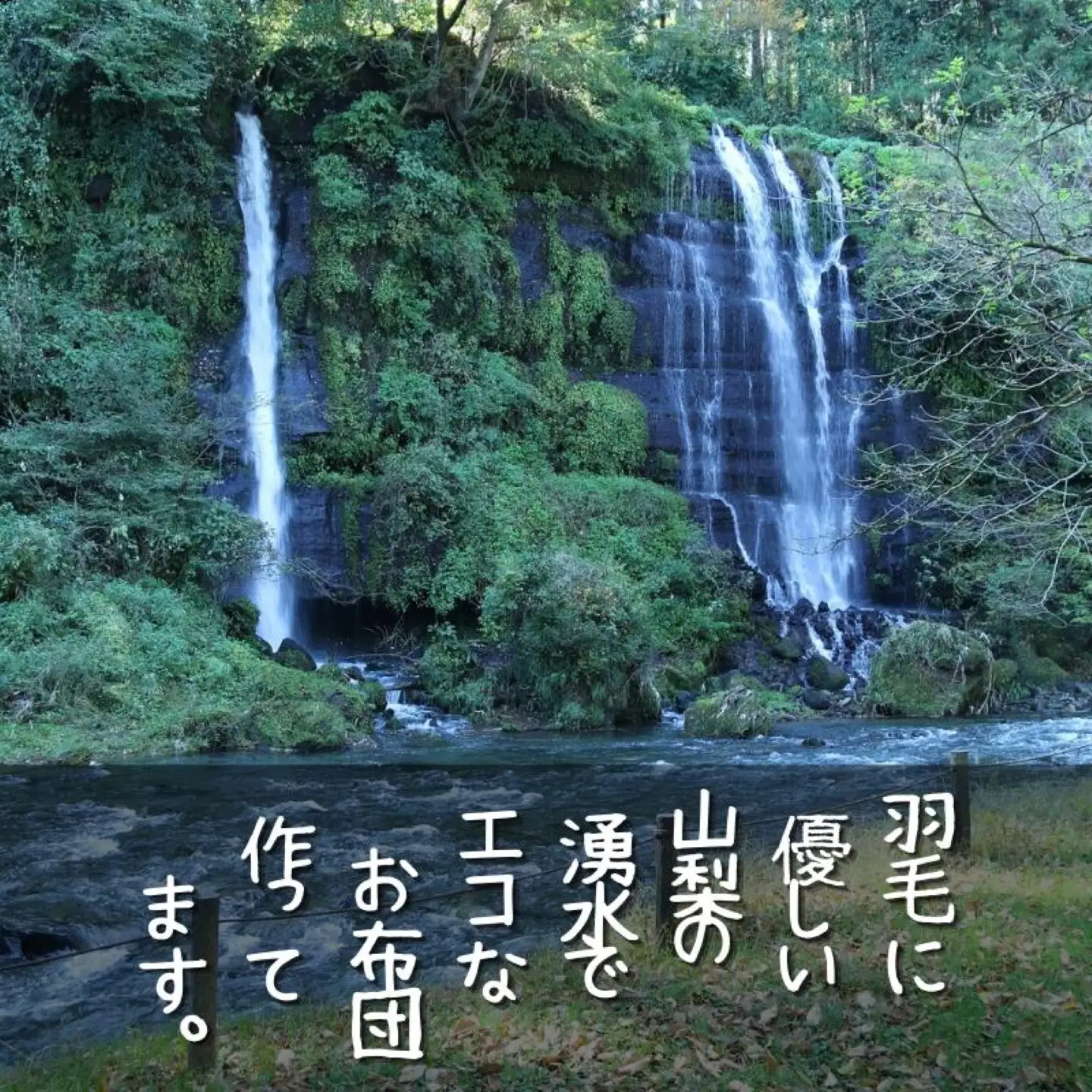 【合掛け】羽毛布団　ダウン50％　150×210cm（シングル）リユース羽毛　国産