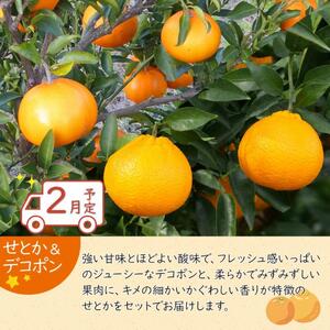 冬のいいとこどり定期便 【12月・1月・2月】全3回