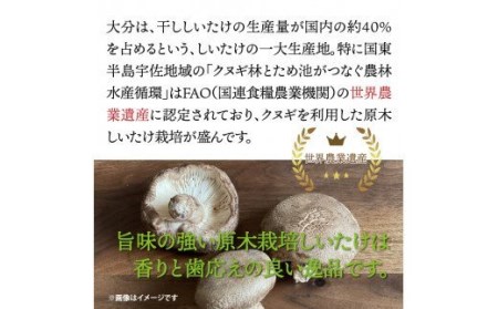 香ばしさ満点！原木椎茸の姿煎餅10袋_0130N
