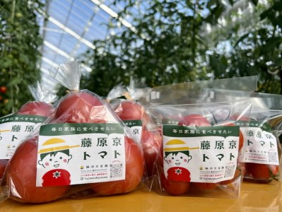 100%生しぼりトマトジュース 720ml 3本セット◇ ※着日指定不可