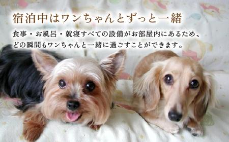 P2-016 《日～木曜日限定》ペット同伴グランピング4名1棟宿泊券 (1泊2食付・最大4名可)【こしかの温泉】鹿児島 霧島 旅行 宿 チケット 宿泊券 キャンプ 温泉 露天風呂 源泉かけ流し サウナ 冷暖房完備 アウトドア体験 BBQ ペット可 犬 小型犬 中型犬 大型犬