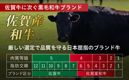 訳あり 佐賀産和牛 牛肉切り落とし 計1.2kg 牛肉切り落とし[FDB001]