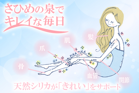 ナチュラルミネラルウォーター「さひめの泉」　500ml×24本【水・ミネラルウォーター 500ml ペットボトル シリカ水 ミネラルウォーター シリカ 軟水 水 天然水】