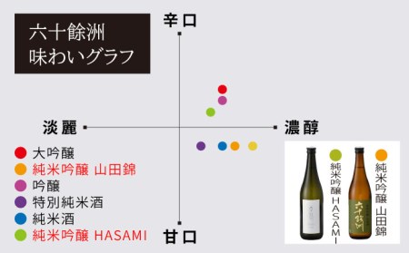 【全3回定期便】六十餘洲 純米吟醸/純米吟醸HASAMI2本セット （各720ml）【今里酒店】[SA27] 