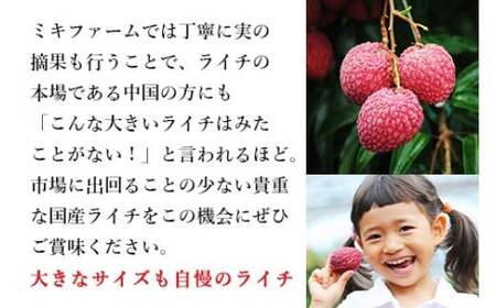 ＜宮崎県産ライチ600g＞【c644_mk_x6】