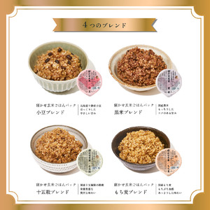 寝かせ玄米ごはんパック 4種ミックス 160g×48食 (小豆ブレンド／黒米ブレンド 各16食、もち麦ブレンド／十五穀ブレンド 各8食) [1615]