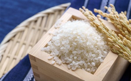 北海道 イエスクリーン米 令和7年産 ななつぼし 10kg 精米 米 白米 お米  ごはん ご飯 ライス 道産米 ブランド米 新しのつ米 ふっくら 食味ランキング  産地直送 カワサキ森田屋 送料無料