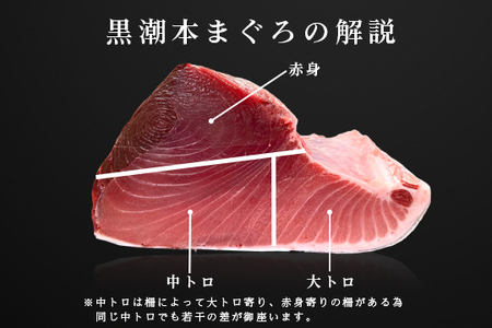 マグロ まぐろ 本マグロ 刺身 中トロ 150g 養殖 本まぐろ さしみ 刺し身 ネギトロ ねぎとろ 漬け丼 海鮮丼 まぐろたたき 海鮮セット 柵 年末 年始 正月 高知県 大月町