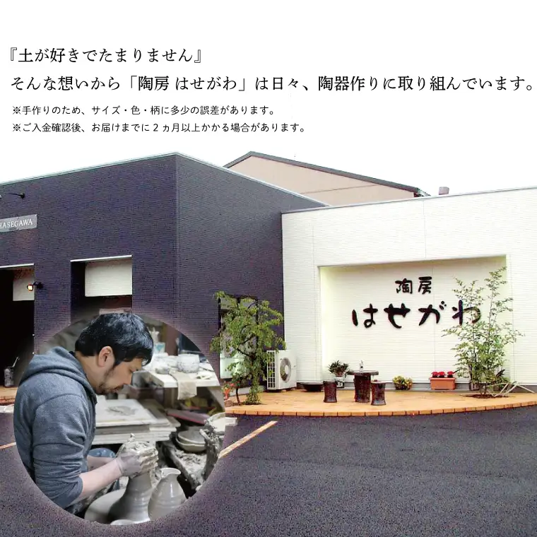 益子焼 オーバル皿 セット 益子町 AH002