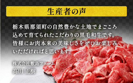 那須高原 敷島和牛特上切落し 1kg（500g×2）国産 黒毛和牛 切り落とし 国産牛 和牛 牛肉 お肉 肉 切り落し 小分け 冷凍 栃木県 那須町《敷島ファーム》〔C-57〕※着日指定不可 　※北海道・沖縄・離島への配送不可