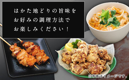 はかた地どり もも肉(約1kg) 《30日以内に出荷予定(土日祝除く)》