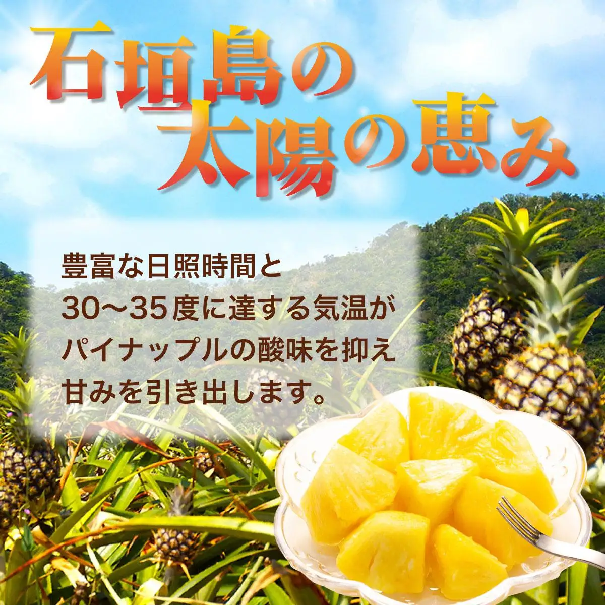 ＜先行予約＞ スナックパイン 4玉