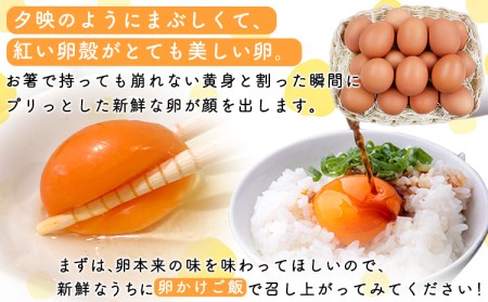 畠中育雛場のげんきタマゴん 80個 《30日以内に出荷予定(土日祝除く)》福岡県   卵  有限会社畠中育雛場