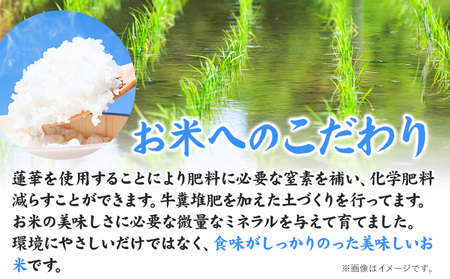 令和7年産 特別栽培米 獅子米（品種：夢つくし） 精米 4kg(2kg×2袋) 白米 精米 株式会社コモリファーム《30日以内に出荷予定(土日祝除く)》