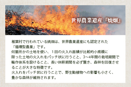 椎葉村の焼畑農家がつくった あわクッキー【手づくりの焼菓子】YS-31