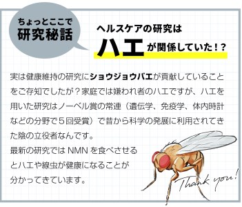 100年時代応援サプリ　NMN15000×3か月分　NMN 健康  維持  若々しく サプリ エネルギッシュ 酵素 酵母 伊豆