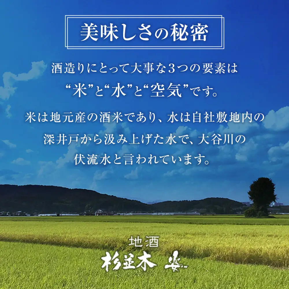 【杉並木】純米大吟醸 原酒・純米とち介ラベル セット｜ お酒 さけ 日本酒 地酒 純米 大吟醸 人気 ギフト 栃木 オリジナル