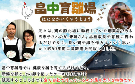 特選卵とカステラの詰め合わせA 《30日以内に出荷予定(土日祝除く)》福岡県   卵 カステラ かすてら 詰め合わせ  有限会社畠中育雛場