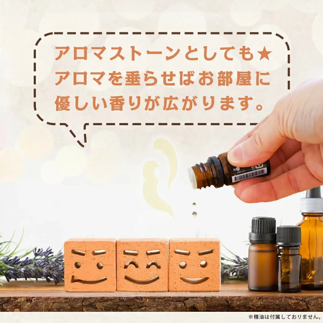 ニコニコレンガ3兄弟(1箱3個入)〔LF-K301〕_(都城市) 都城産レンガ ニコニコレンガ3兄弟 ガーデニング アロマストーン