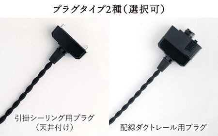 【受注生産】ペンダント ライト 1 （ガラス 径14cm）  糸島市 / タビノキセキ [ADB036]