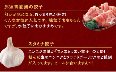 宇都宮餃子 運気アップ餃子  5種類味比べ(合計90個)【 餃子 食べ比べセット 冷凍餃子 冷凍食品 惣菜 栃木県 宇都宮市 】※配送不可地域：離島