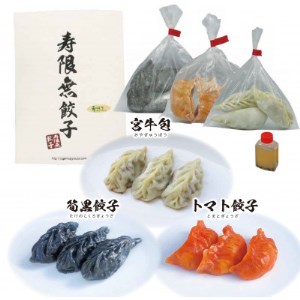 宇都宮餃子 寿限無 宇都宮特産餃子セット(3種×各3個・計9個入り)　※離島への配送不可