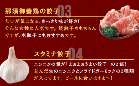 宇都宮餃子 運気アップ餃子 まあまあウマイ餃子 18個 保存料不使用【 餃子 ぎょうざ 冷凍餃子 冷凍食品 惣菜 栃木県 宇都宮市 】※配送不可地域：離島