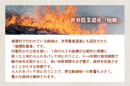 椎葉村の焼畑農家がつくった 蕎麦粉クラッカー【手づくりの焼菓子】YS-34