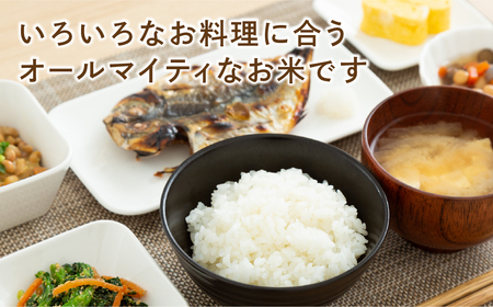 【令和7年産】ひとめぼれ 20kg ( 5kg × 4袋 ) お米 一等米 福島県産 田村市 ふぁせるたむら