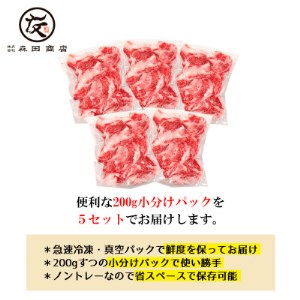 黒毛和牛 こま切れ 1kg 小分け 200g×5 こま切れこま切れこま切れ