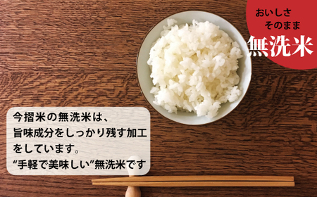 【令和7年産】無洗米 5kg ブランド米 令和7年産 むせんまい 籾貯蔵今摺米 きたくりん 北海道米 北海道 定期便アリ 米【A-025】