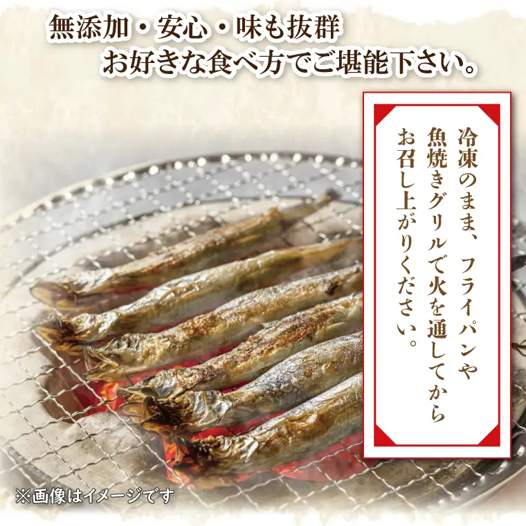 【数量限定！】 子持ち カラフトシシャモ ２kg (500g×4袋) 訳アリ シシャモ ししゃも カラフトししゃも 大洗 規格外 訳あり わけあり 傷_AV010