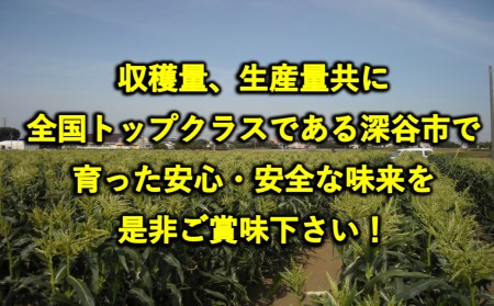 数量限定！JAふかや　朝採りとうもろこし「味来」　13本入り　【11218-0457】
