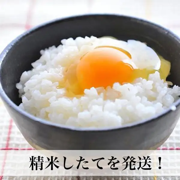 【令和7年産】福岡県産米食べ比べ＜無洗米＞セット「夢つくし」と「元気つくし」2種類  計10kg
