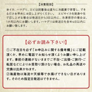 網田漁業協同組合 本ハマグリ 約1ｋｇ _U46-0025