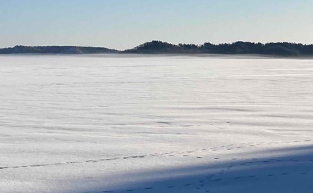 先行予約 2027年2月発送 北海道 厚岸産 丸干しコマイ 190g×5パック ソウルフード 魚貝類 干物 焼魚 おつまみ 冷凍 厚岸湖 天日干し 焼くだけ おかず 