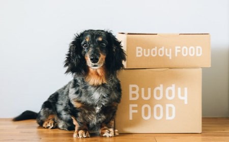 AS-2171 Buddy FOOD ヘルスケアプラス　低脂質チキン・ケア×6パック 【バディフード】
