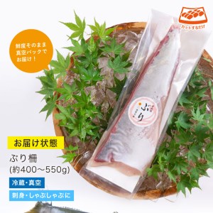 【北海道・離島配送不可】日向灘ぶりのお刺身(約400～550g)魚介 魚 旬 海鮮 ブリ 鰤 ぶり柵 刺身 しゃぶしゃぶ 冷蔵 宮崎県 門川町【UZ-03】【請関水産】