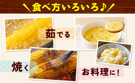 とうもろこし白黄ミックス約4kg《6月下旬-7月下旬頃出荷》恵味白い恵味