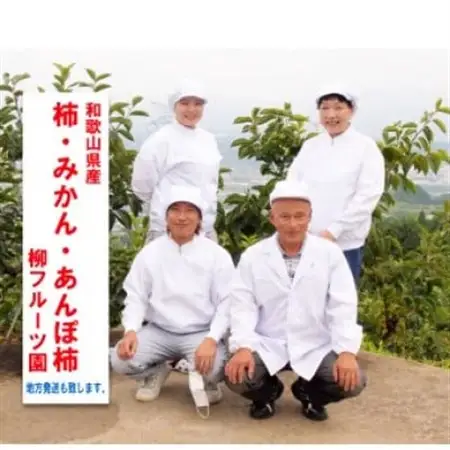柿【先行受付】柳フルーツ園 たねなし柿 約10kg_果物・フルーツ 柿（カキ）  かき_【1430469】