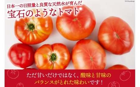 【2026年発送】 秋作 訳あり 桃太郎トマト 4kg [ヨダファーム 山梨県 中央市 21470978] 規格外 家庭用 不揃い トマト とまと 野菜 やさい 4キロ 季節限定 期間限定 産地直送 山梨県産 訳アリ tomato 【2026年10月下旬-12月下旬発送予定】