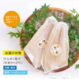 【北海道・離島配送不可】新鮮！ヒラメのお刺身(1尾分：約300g～400g) お刺し身 しゃぶしゃぶ 魚介 海鮮 ひらめ 真空パック【UZ-04】【請関水産】