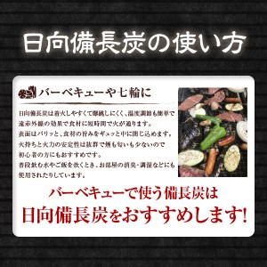 うなま 備長炭 (2級並) 3kg [宮崎県農業協同組合 八菜館ひゅうが店 宮崎県 美郷町 31ap0012]