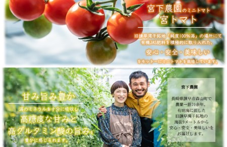 ワイン酵母仕込み茜鶴ミニトマトのお酒辛口500ml+甘口200ml / 酒 お酒 アルコール 甘口 辛口 ミニトマト トマト / 諫早市 / 株式会社宮下農園  [AHCG007]
